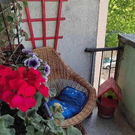 Rentasarajevo * Saraievo